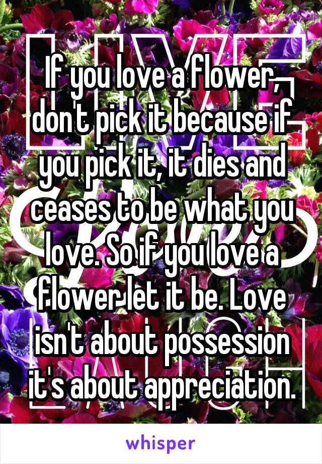 If you love a flower, don't pick it because if you pick it, it dies and ceases to be what you love. So if you love a flower let it be. Love isn't about possession it's about appreciation.