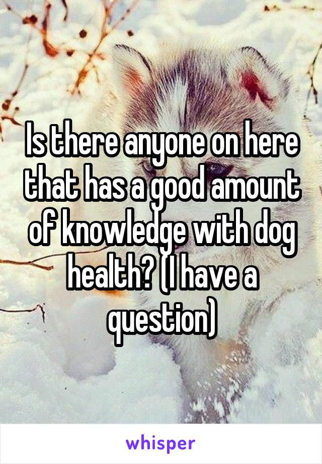 Is there anyone on here that has a good amount of knowledge with dog health? (I have a question)