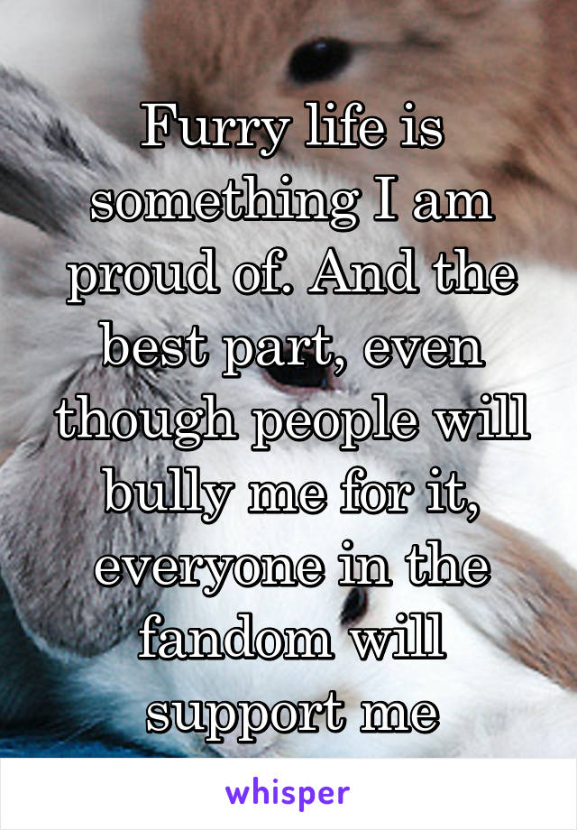 Furry life is something I am proud of. And the best part, even though people will bully me for it, everyone in the fandom will support me