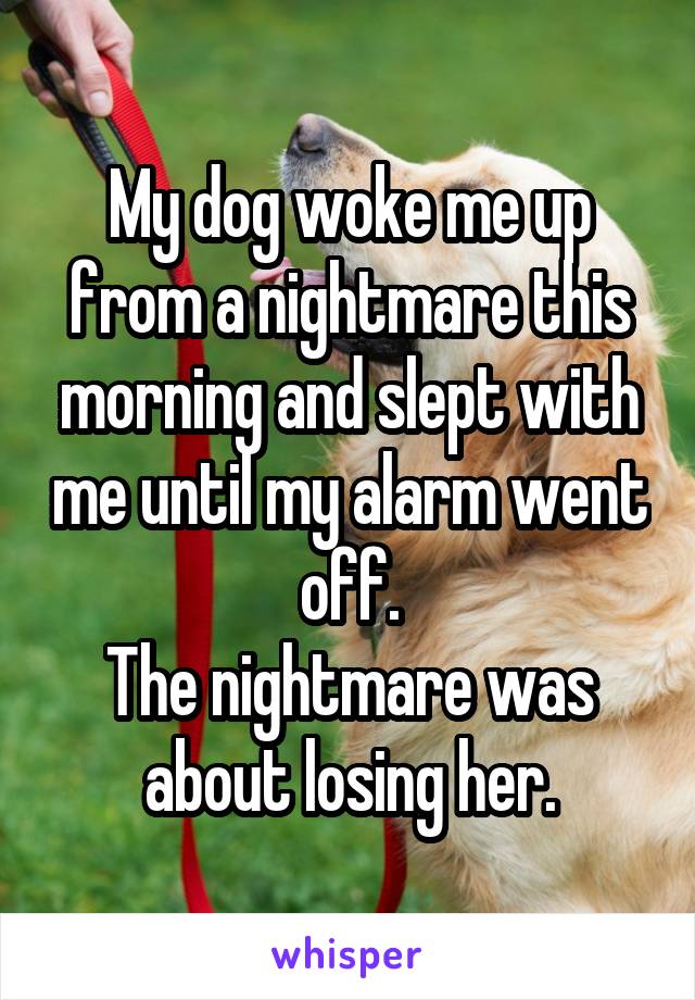 My dog woke me up from a nightmare this morning and slept with me until my alarm went off.
The nightmare was about losing her.