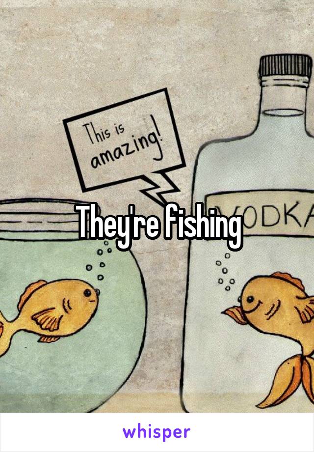 They're fishing