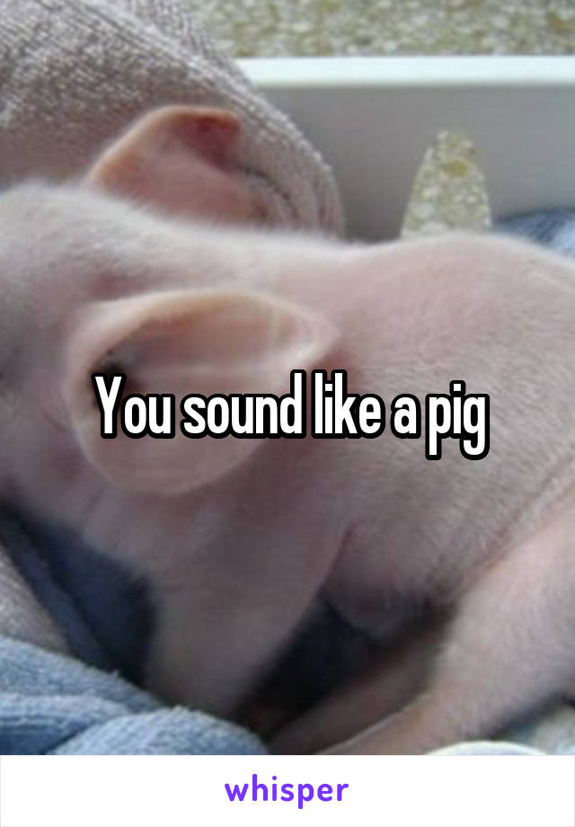You sound like a pig