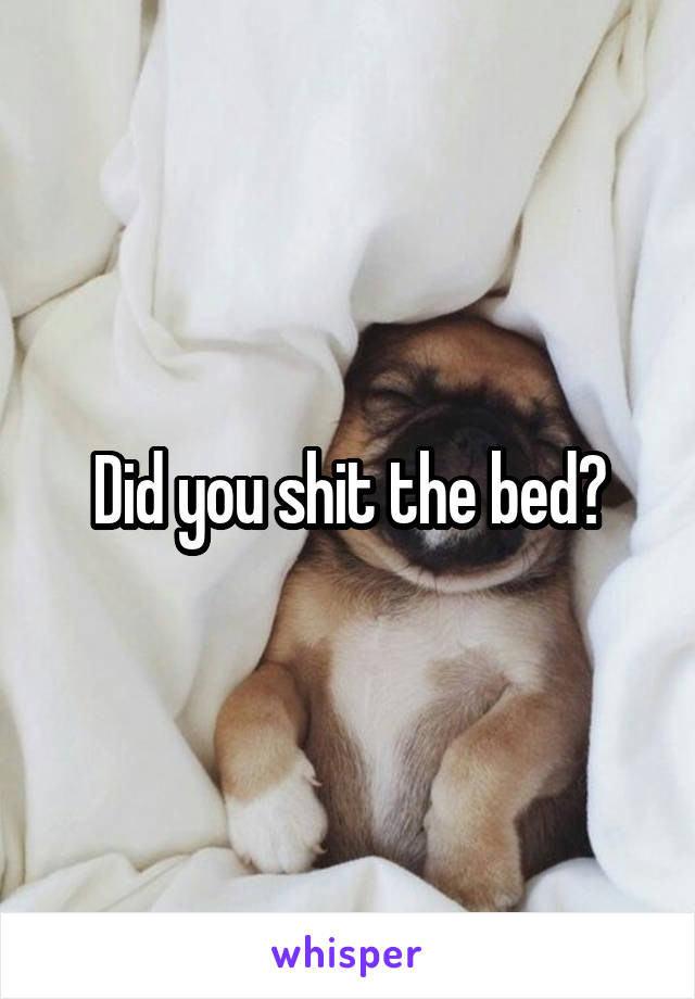 Did you shit the bed?