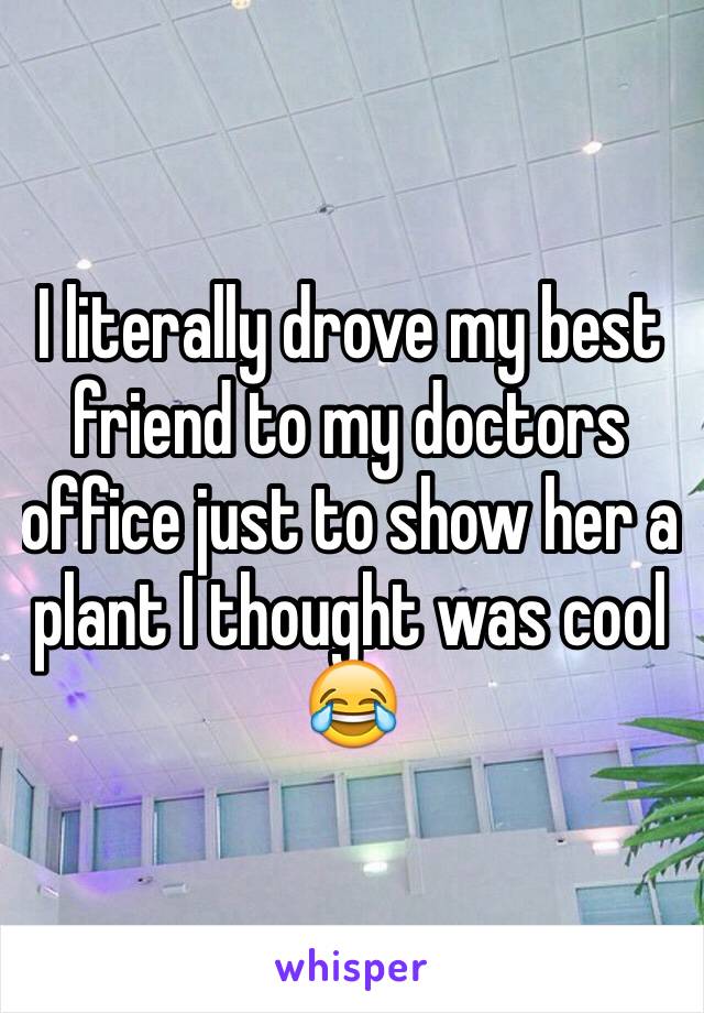 I literally drove my best friend to my doctors office just to show her a plant I thought was cool 😂