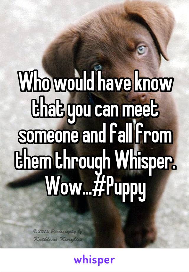 Who would have know that you can meet someone and fall from them through Whisper. Wow...#Puppy