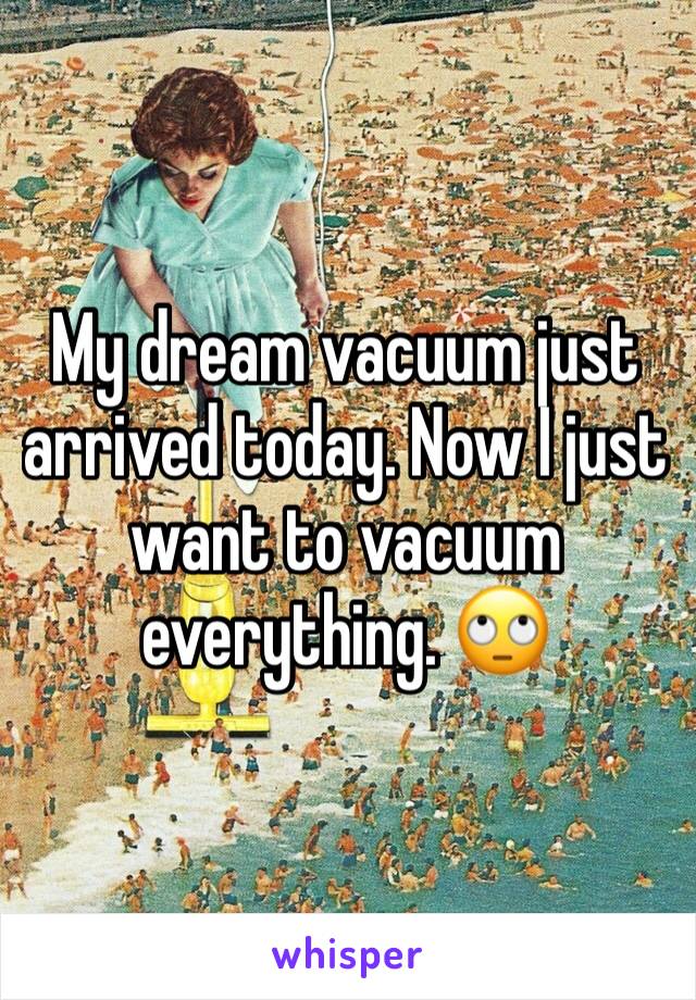 My dream vacuum just arrived today. Now I just want to vacuum everything. 🙄