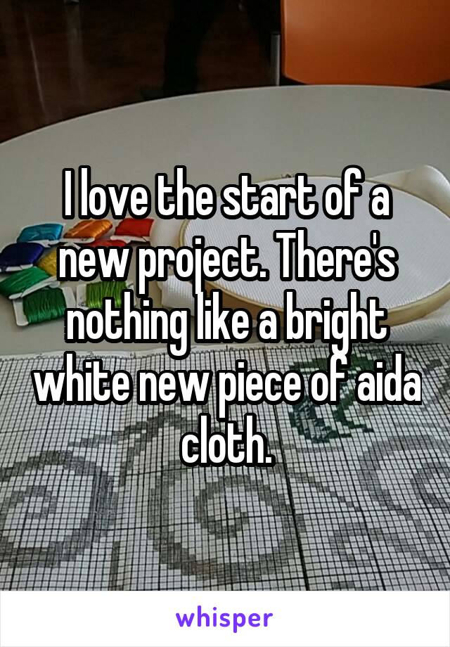 I love the start of a new project. There's nothing like a bright white new piece of aida cloth.
