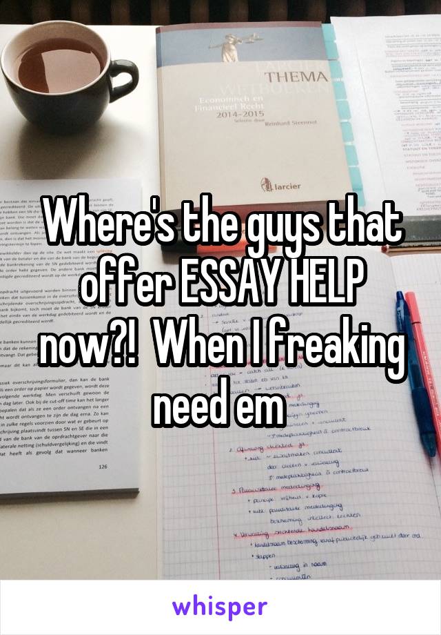 Where's the guys that offer ESSAY HELP now?!  When I freaking need em 