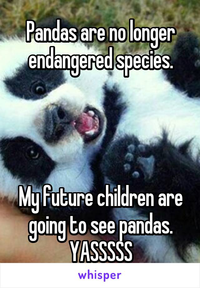 Pandas are no longer endangered species.




My future children are going to see pandas. YASSSSS