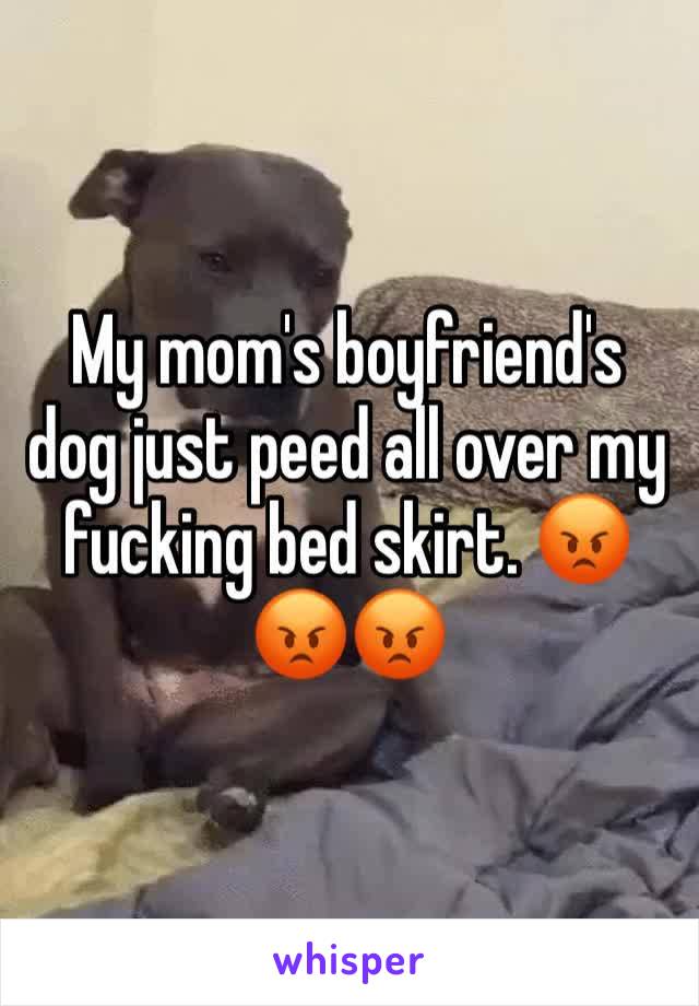 My mom's boyfriend's dog just peed all over my fucking bed skirt. 😡😡😡