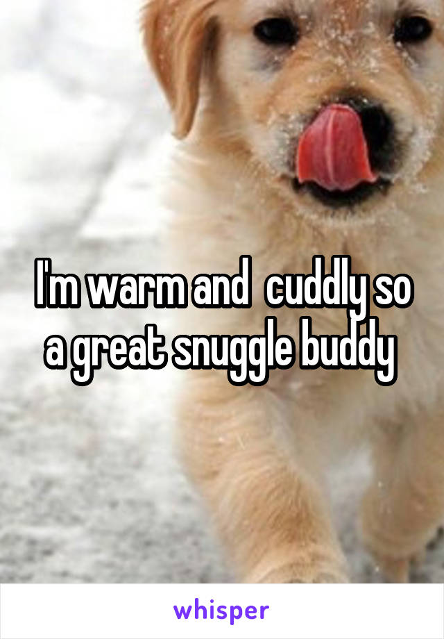 I'm warm and  cuddly so a great snuggle buddy 