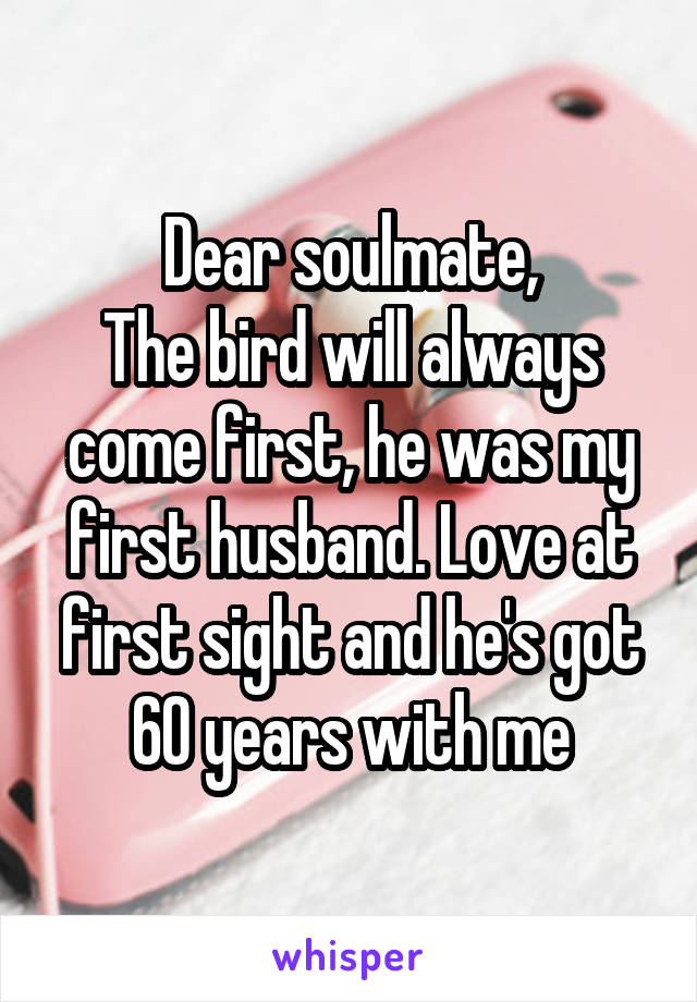 Dear soulmate,
The bird will always come first, he was my first husband. Love at first sight and he's got 60 years with me