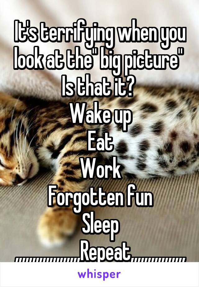 It's terrifying when you look at the" big picture" 
Is that it? 
Wake up
Eat
Work
Forgotten fun
Sleep
,,,,,,,,,,,,,,,,,,,Repeat,,,,,,,,,,,,,,,,