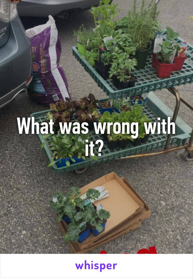What was wrong with it? 