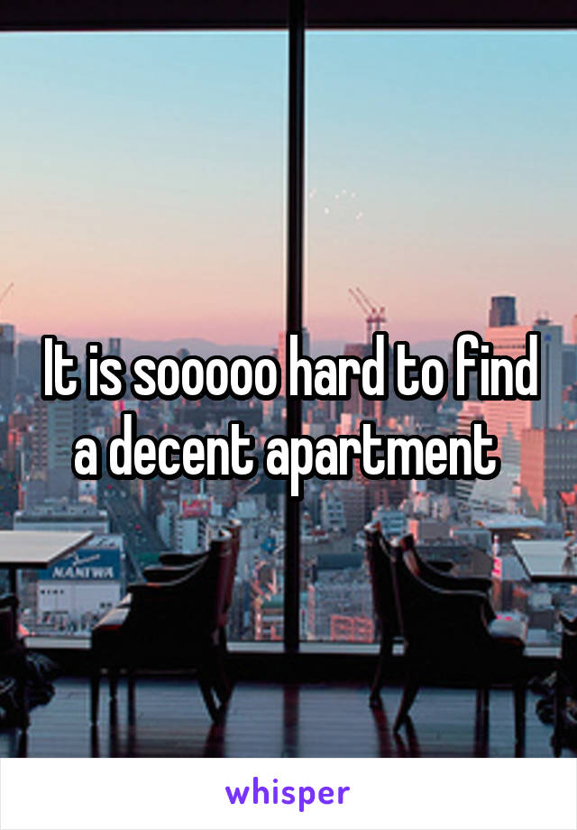 It is sooooo hard to find a decent apartment 