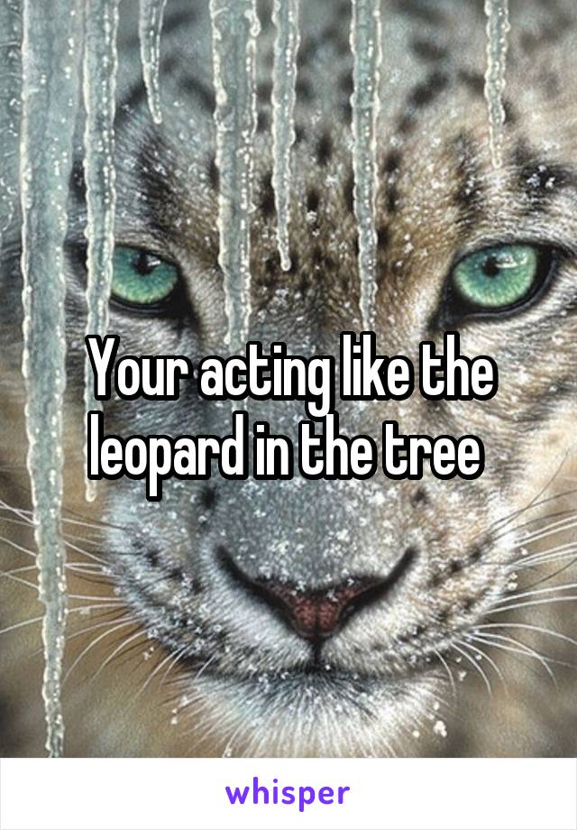 Your acting like the leopard in the tree 