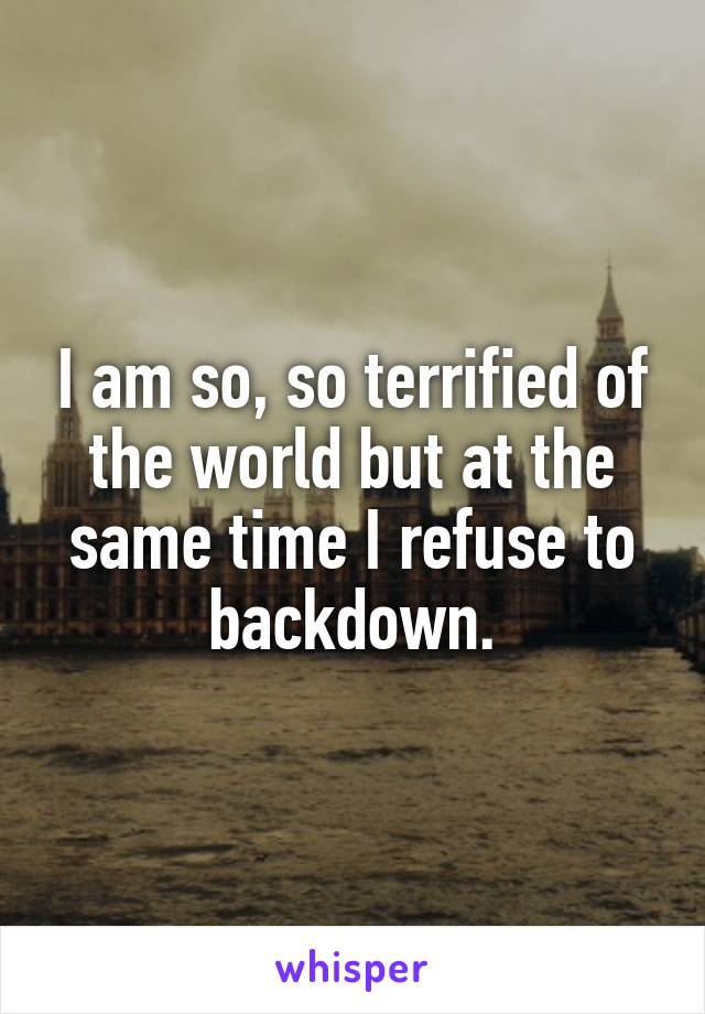 I am so, so terrified of the world but at the same time I refuse to backdown.