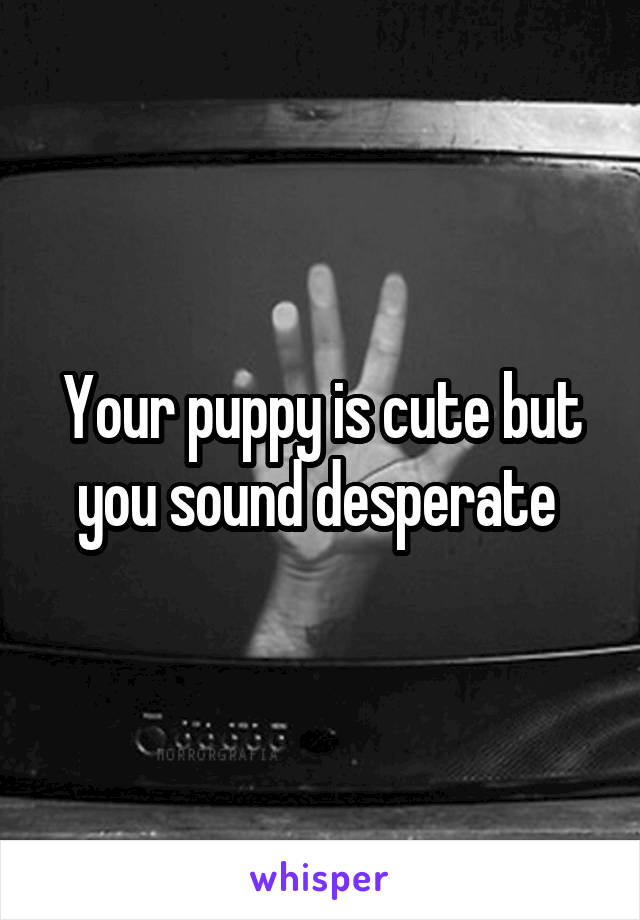 Your puppy is cute but you sound desperate 