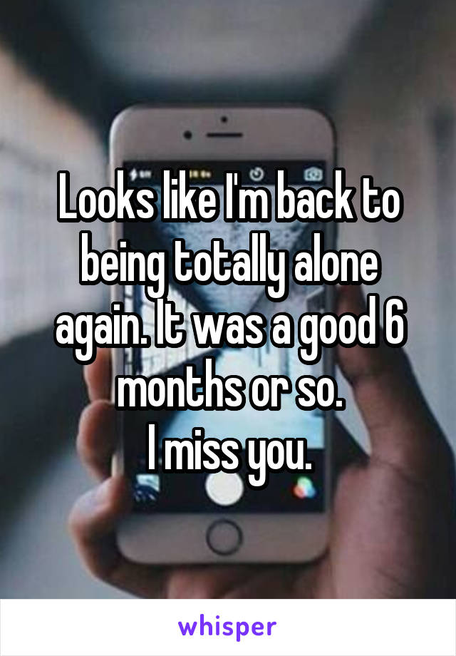 Looks like I'm back to being totally alone again. It was a good 6 months or so.
I miss you.