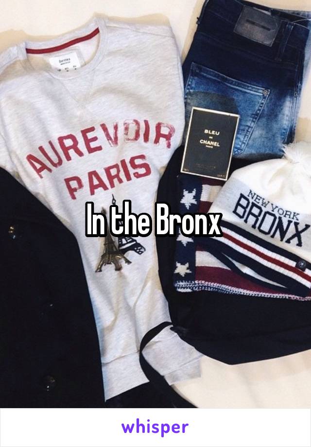 In the Bronx 