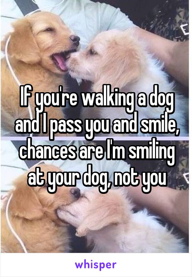 If you're walking a dog and I pass you and smile, chances are I'm smiling at your dog, not you