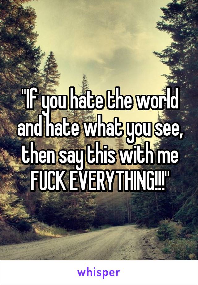 "If you hate the world and hate what you see, then say this with me FUCK EVERYTHING!!!"