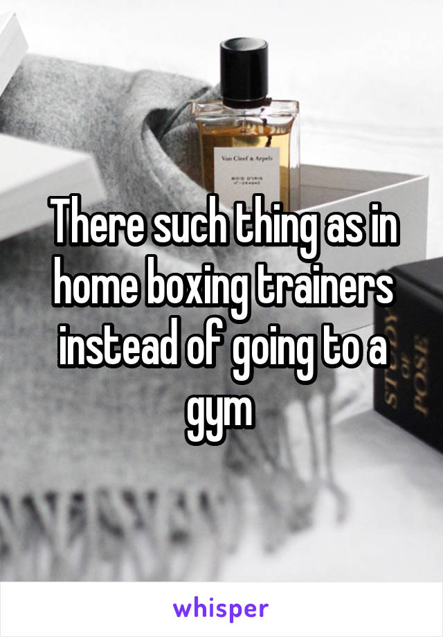 There such thing as in home boxing trainers instead of going to a gym 