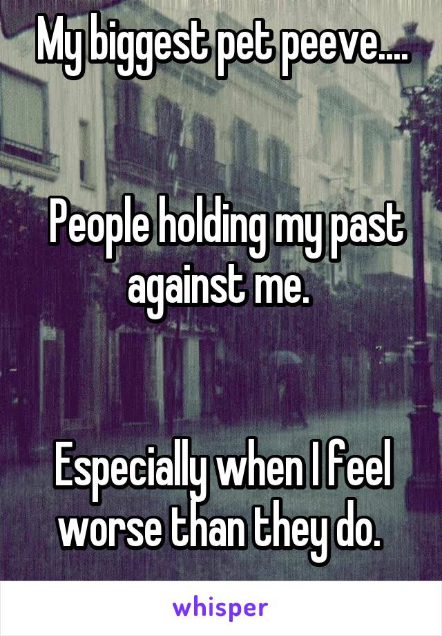 My biggest pet peeve....


 People holding my past against me. 


Especially when I feel worse than they do. 
