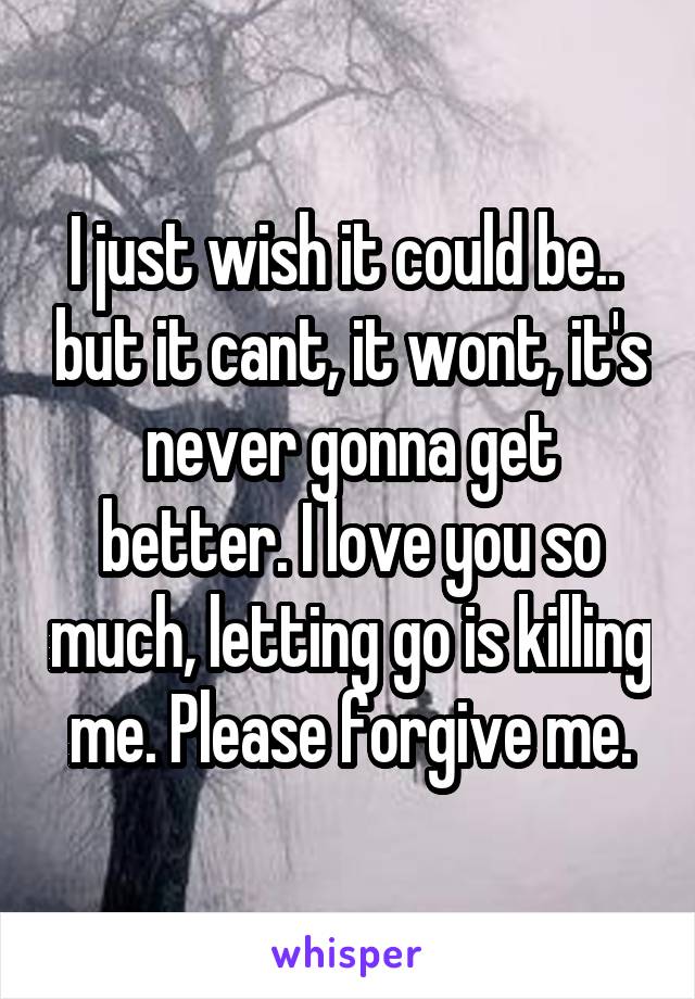I just wish it could be..  but it cant, it wont, it's never gonna get better. I love you so much, letting go is killing me. Please forgive me.