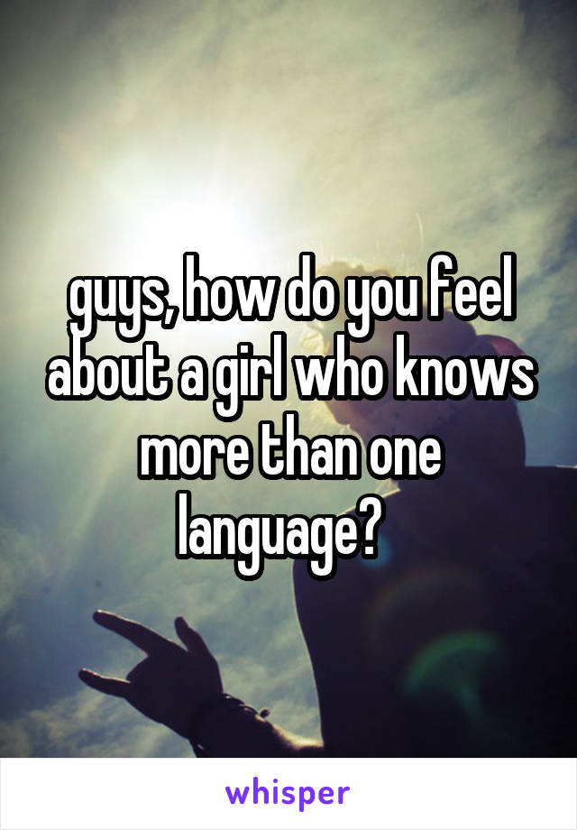 guys, how do you feel about a girl who knows more than one language?  