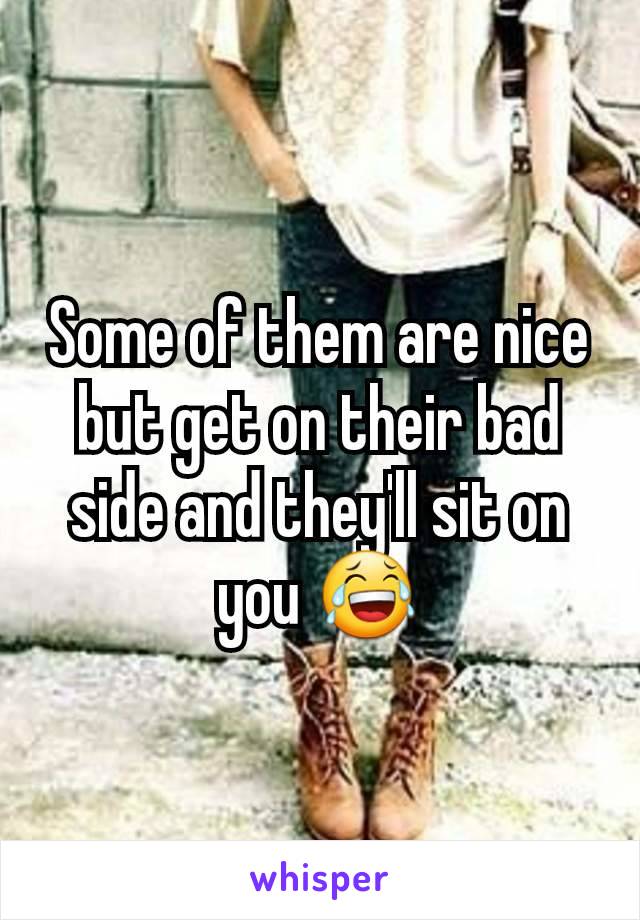 Some of them are nice but get on their bad side and they'll sit on you 😂