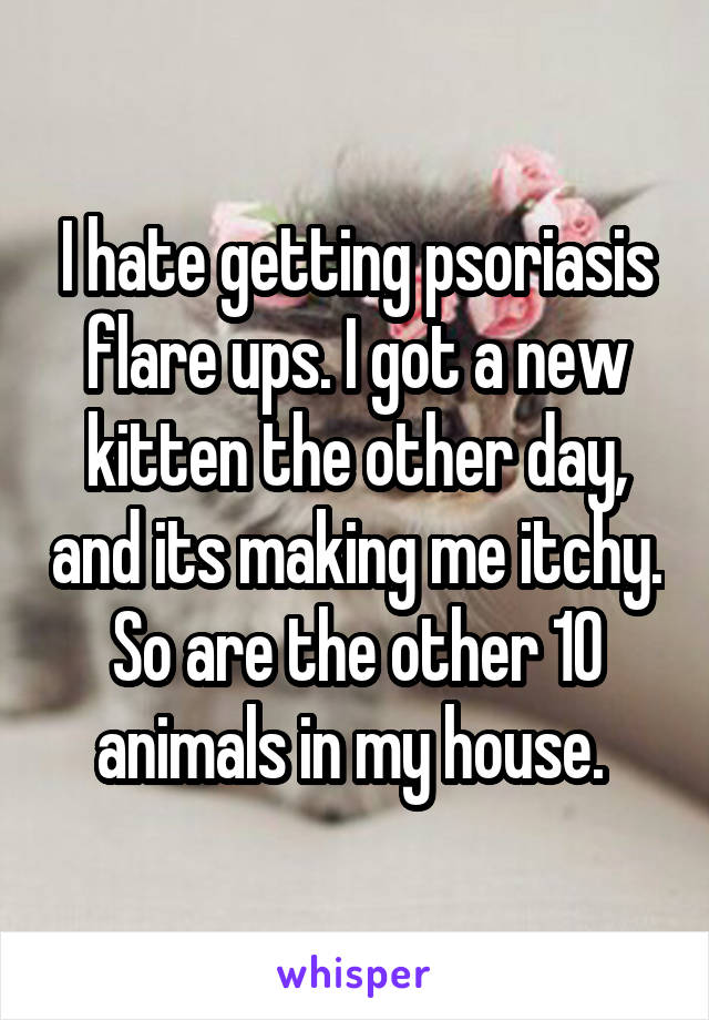 I hate getting psoriasis flare ups. I got a new kitten the other day, and its making me itchy. So are the other 10 animals in my house. 
