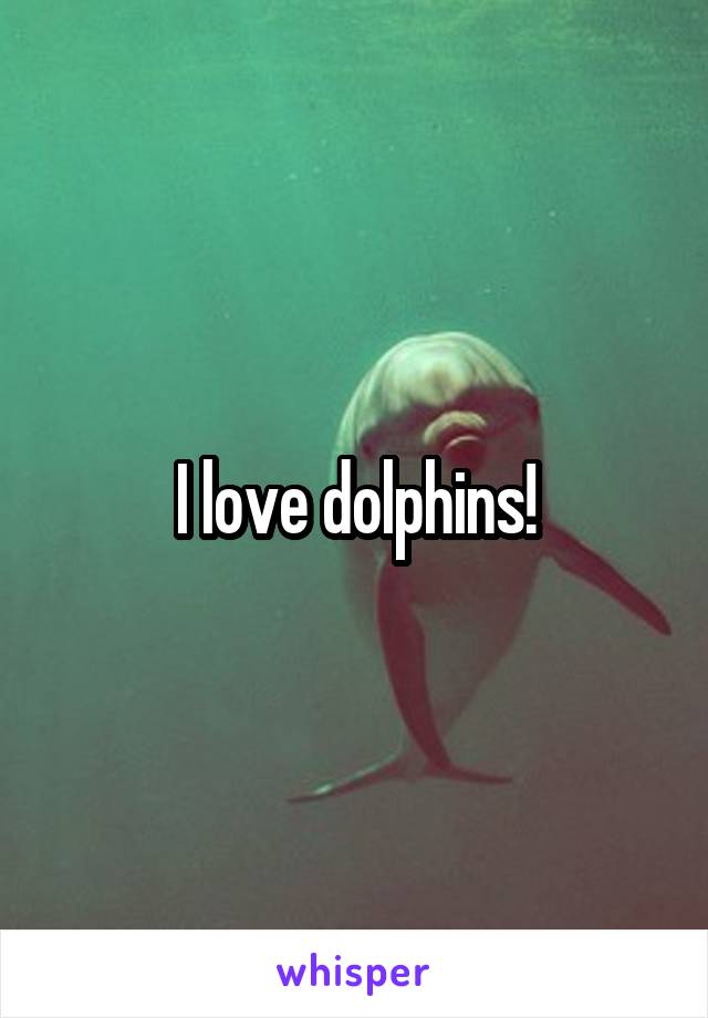 I love dolphins!