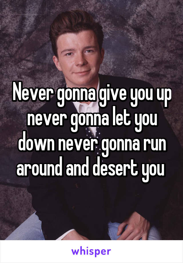 Never gonna give you up never gonna let you down never gonna run around and desert you 