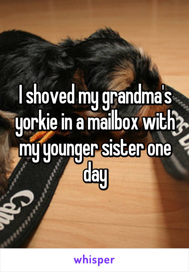 I shoved my grandma's yorkie in a mailbox with my younger sister one day