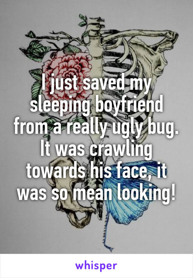 I just saved my sleeping boyfriend from a really ugly bug. It was crawling towards his face, it was so mean looking!