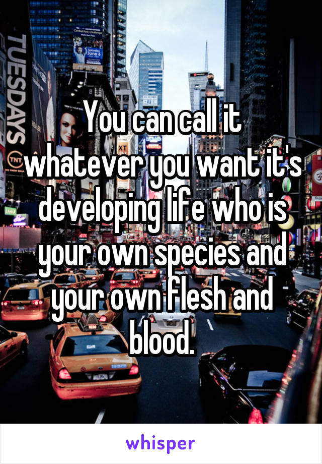 You can call it whatever you want it's developing life who is your own species and your own flesh and blood.