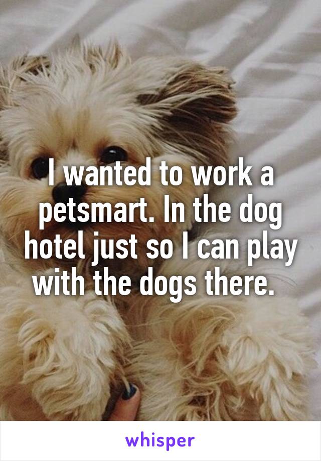 I wanted to work a petsmart. In the dog hotel just so I can play with the dogs there.  