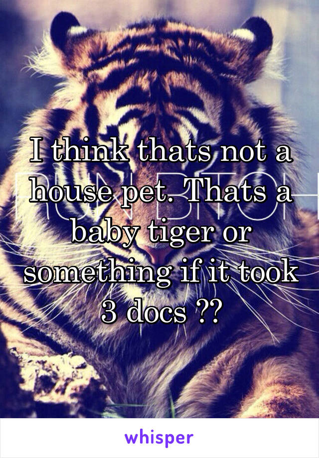 I think thats not a house pet. Thats a baby tiger or something if it took 3 docs 😂😂