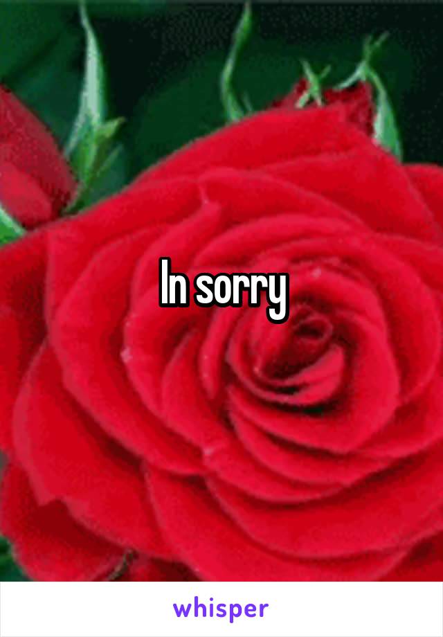 In sorry
