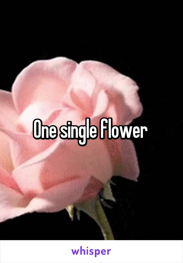 One single flower 