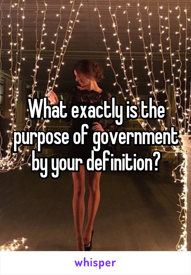 What exactly is the purpose of government by your definition?