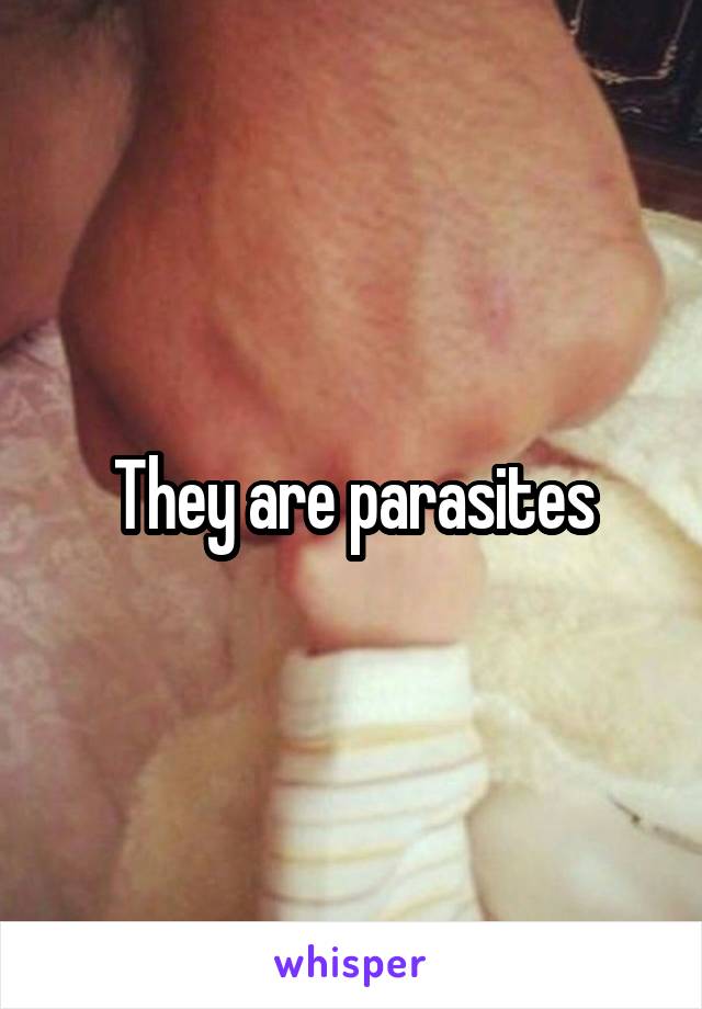 They are parasites