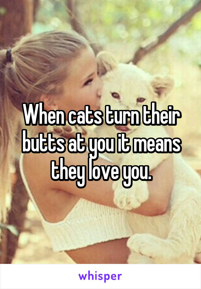 When cats turn their butts at you it means they love you.