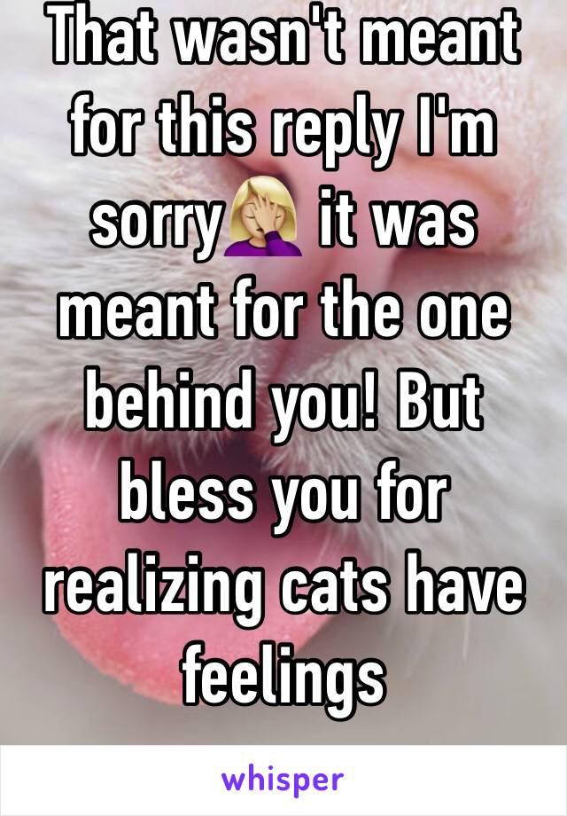 That wasn't meant for this reply I'm sorry🤦🏼‍♀️ it was meant for the one behind you! But bless you for realizing cats have feelings 