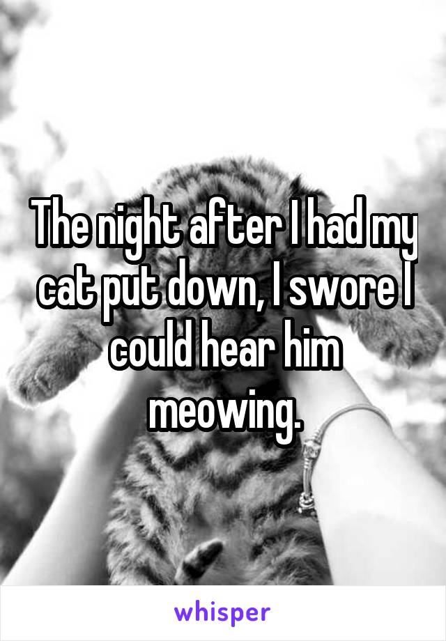 The night after I had my cat put down, I swore I could hear him meowing.