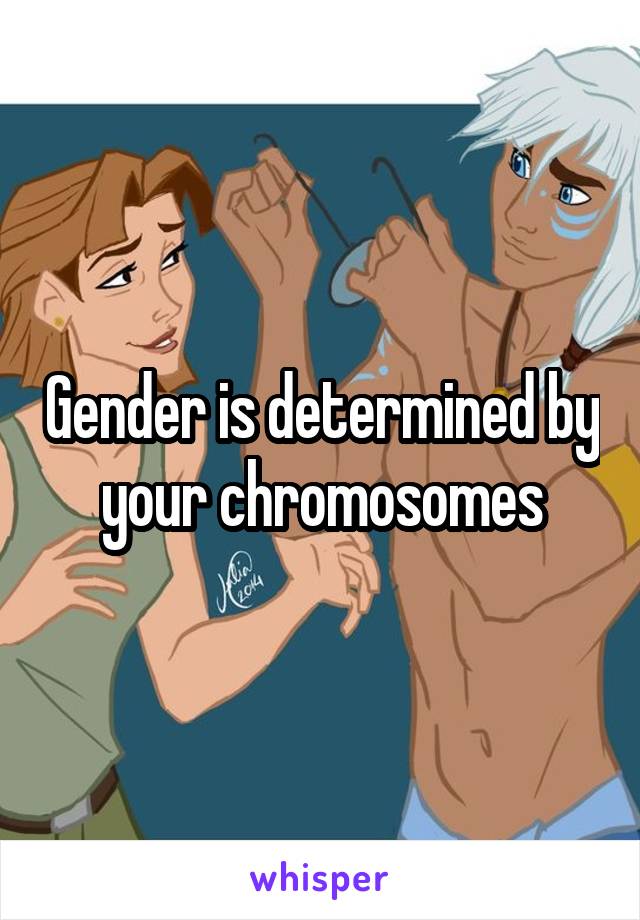 Gender is determined by your chromosomes