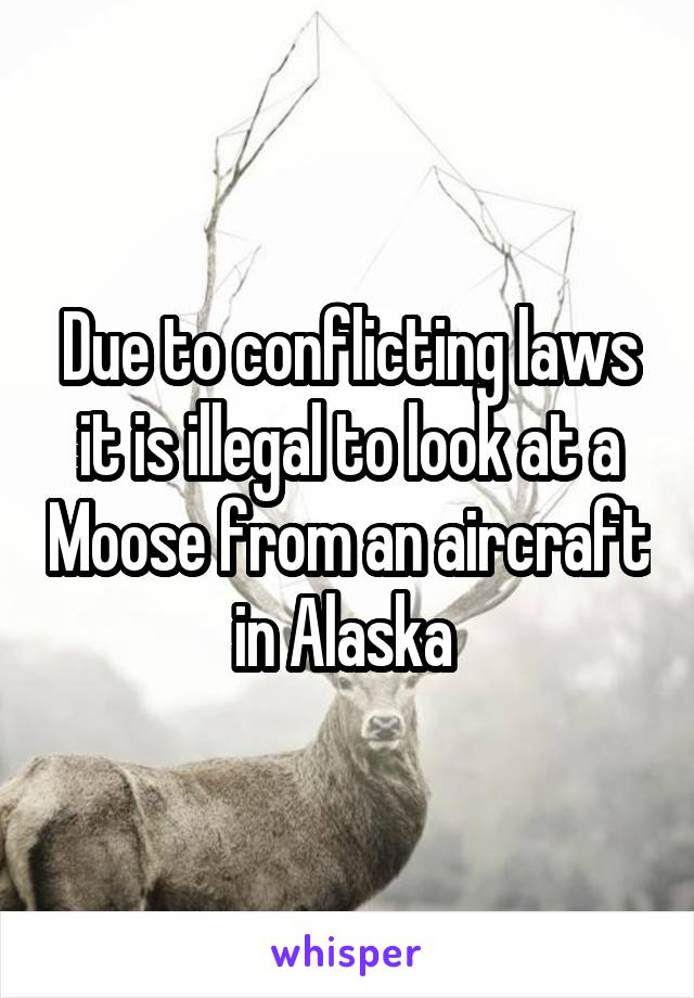 Due to conflicting laws it is illegal to look at a Moose from an aircraft in Alaska 