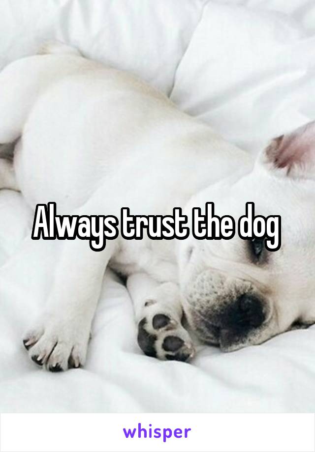 Always trust the dog 