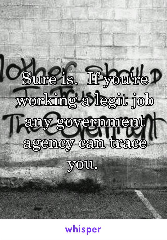 Sure is.  If you're working a legit job any government agency can trace you. 